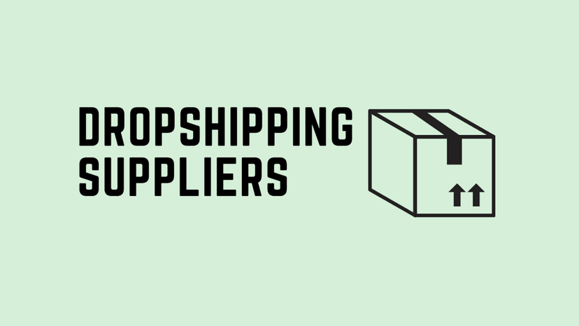 Dropshipping Suppliers: How to Choose the Best for Your Store - Ecombrand dropshipping guide with expert tips for ecommerce success